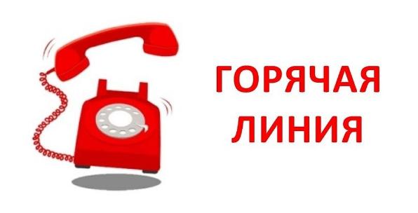 Пенсионный фонд Татарстана проведет бесплатную горячую линию по вопросам материнского (семейного) капитала