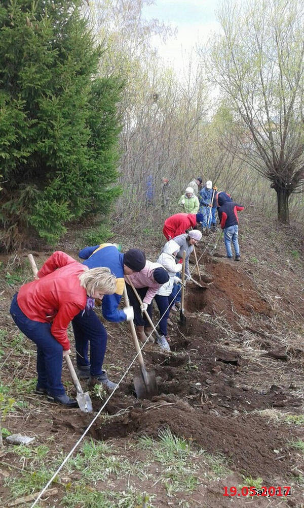 Посадка деревьев