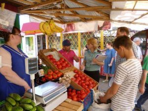 Продолжаются мероприятия по взысканию задолженности с предпринимателей
