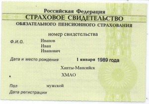 Сегодня системе пенсионного персонифицированного учета исполняется 20 лет