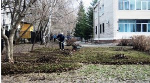Облагораживаем территорию