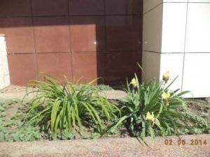 Создаем хорошее настроение