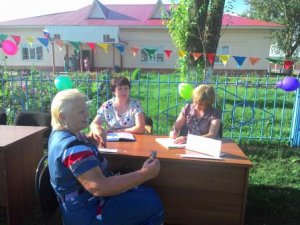 Народные сходы в сельских поселениях