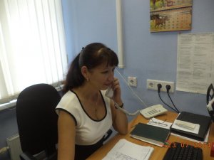 Единая страховая отчетность - без ошибок