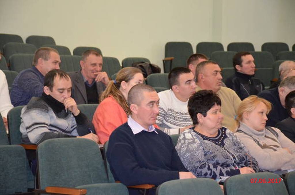 Встречи с коллективами организаций  