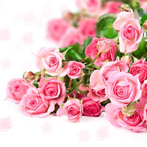 Благодарность