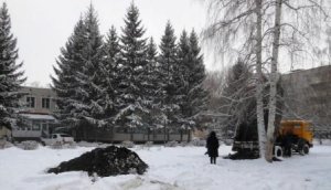 Благоустройство прилегающей территории