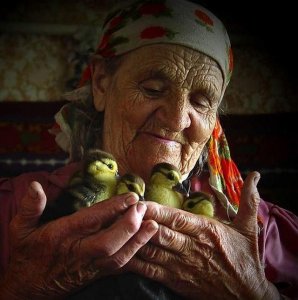 Социальный портрет пожилого человека