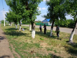 Моя малая чистая Родина