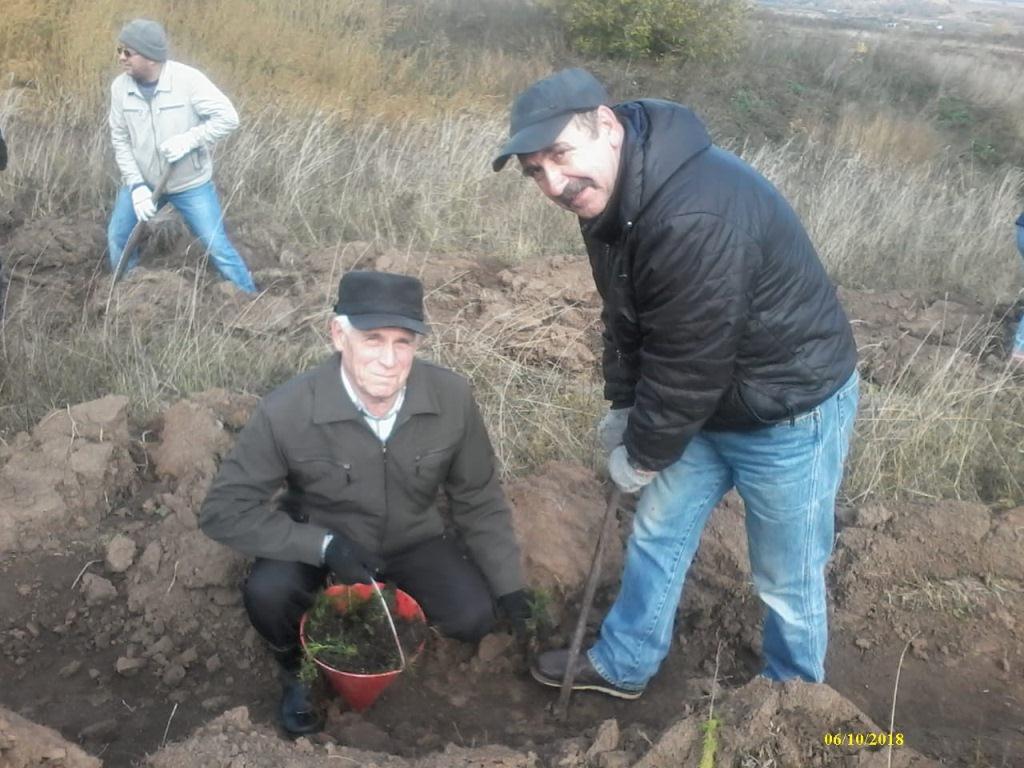 Посадка деревьев