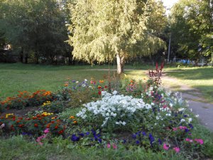 Благоустройство прилегающей территории